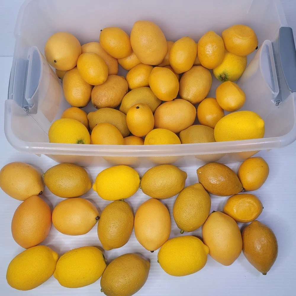 Fake Faux Lemons Bulk Set Yellow Artificial Fruit Home Decor Decor Props